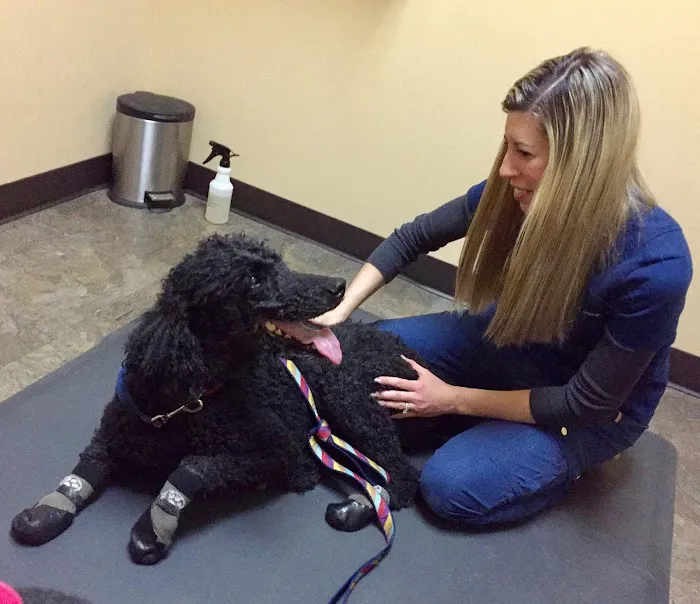 Vitality Chiropractic Center Picture 1