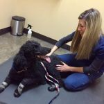 Vitality Chiropractic Center