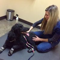 Vitality Chiropractic Center ico