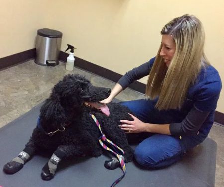 Vitality Chiropractic Center