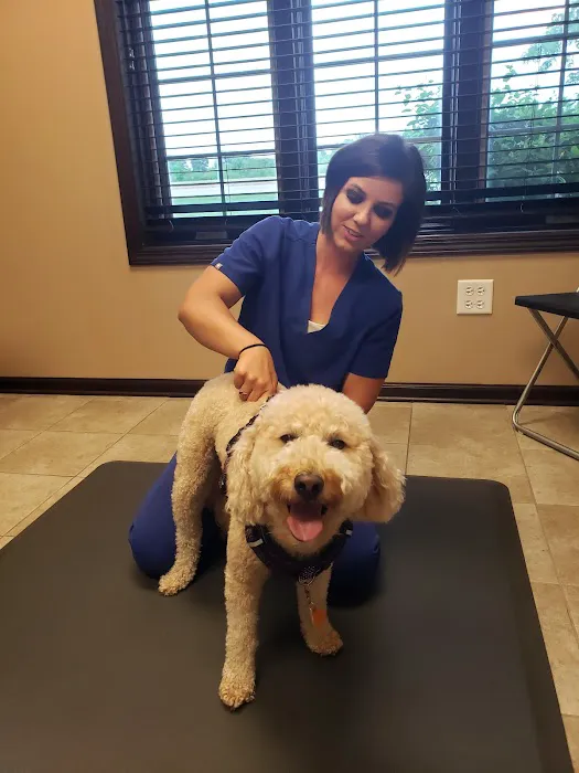 Vitality Chiropractic Center Picture 10