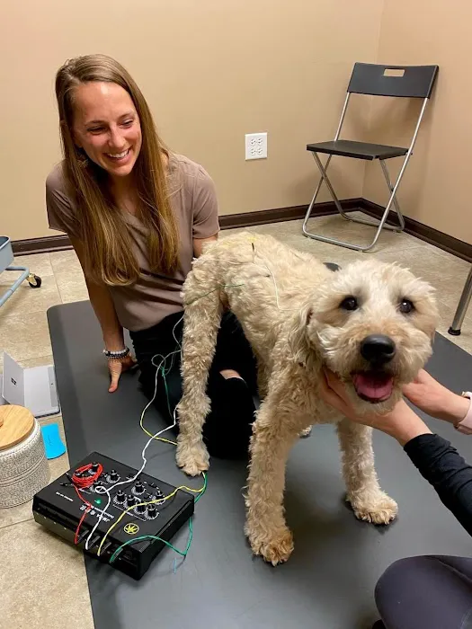 Vitality Chiropractic Center Picture 7