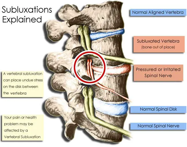 Silberfine Chiropractic Center Picture 3