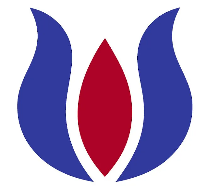 Wang Family Chiropractic Picture 4