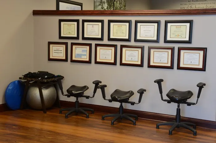 Buchar Family Chiropractic Picture 5