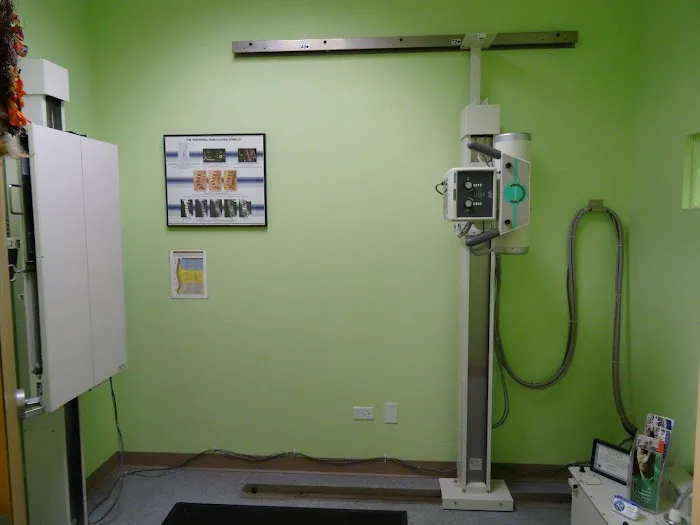 Londos Family Chiropractic Picture 4