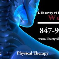 Libertyville Wellness Group ico