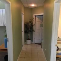 Back in Shape Chiropractic ico