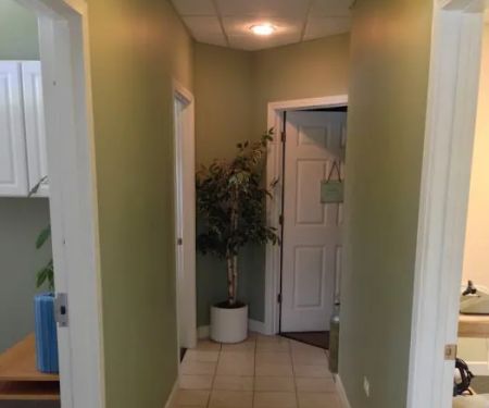 Back in Shape Chiropractic