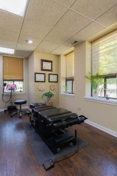 Serene Chiropractic and Physical Therapy (Fox Valley Health Chiropractic) Picture 7