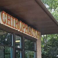 Bruno Chiropractic ico