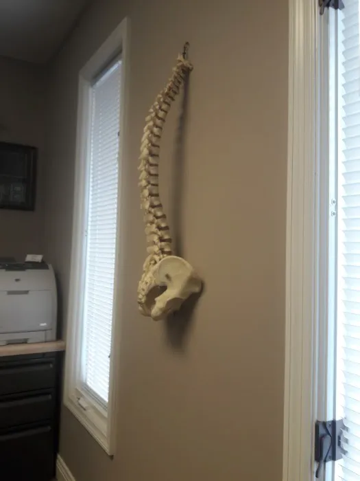 Winslow Chiropractic and Wellness Center Picture 3