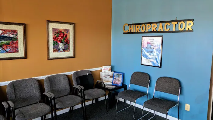 Wellspring Chiropractic Acupuncture Picture 1