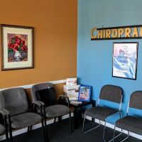Wellspring Chiropractic Acupuncture ico