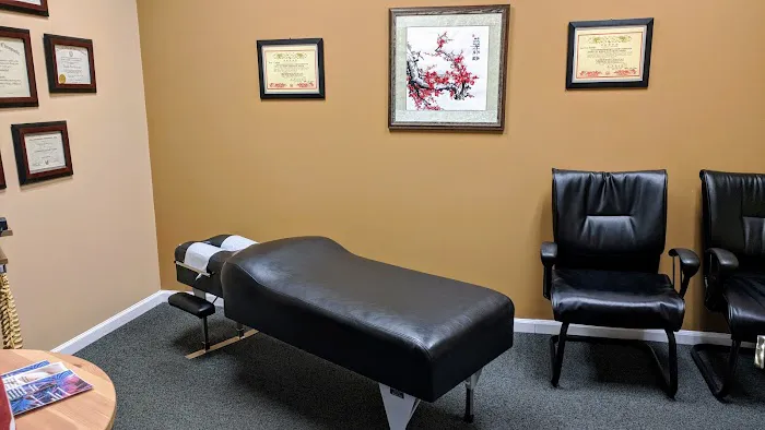 Wellspring Chiropractic Acupuncture Picture 3