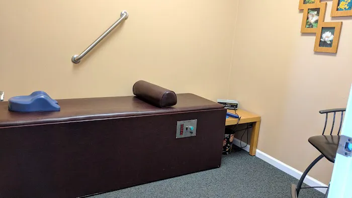 Wellspring Chiropractic Acupuncture Picture 6