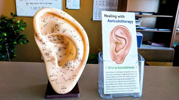 Wellspring Chiropractic Acupuncture Picture 10