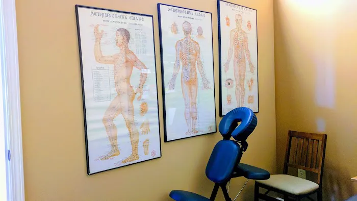 Wellspring Chiropractic Acupuncture Picture 9