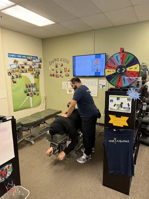 Chiro One Chiropractic & Wellness Center of South Elgin Picture 5