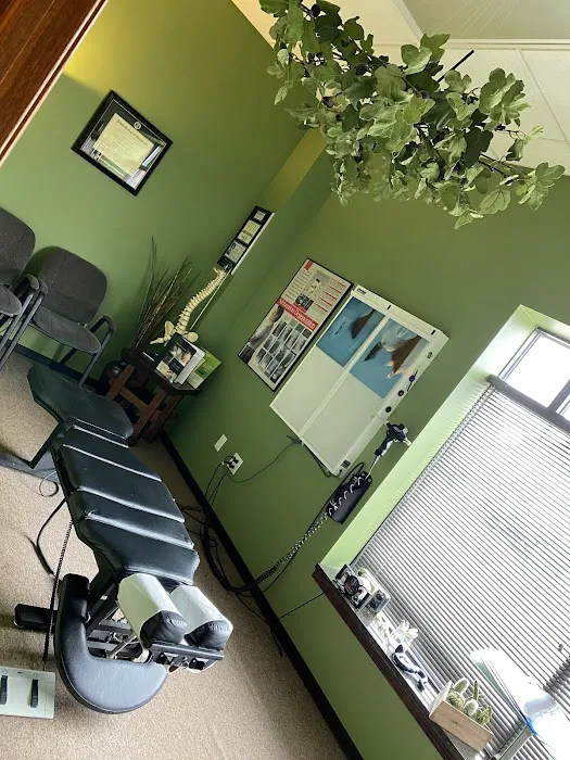 Life Force Chiropractic Picture 8