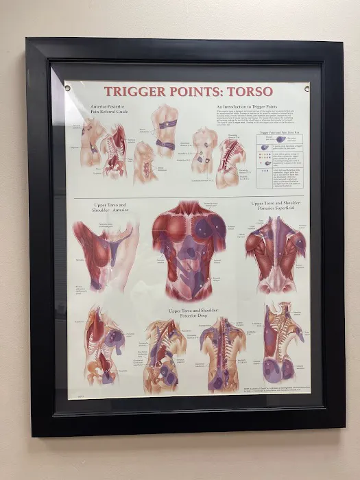 Body Solutions Chiropractic and Rehabilitation Center Picture 5