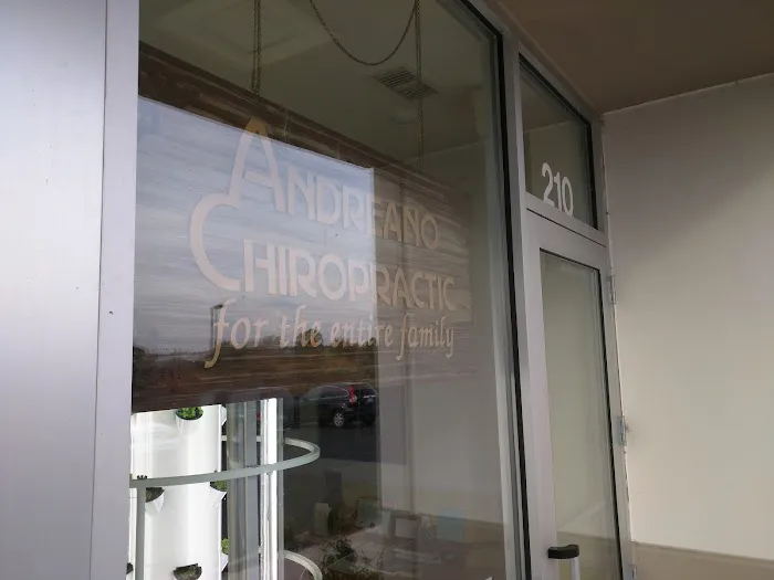 Andreano Chiropractic Picture 4