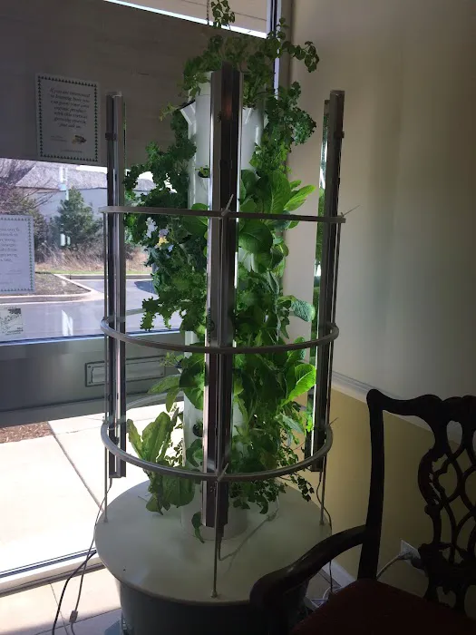 Andreano Chiropractic Picture 8