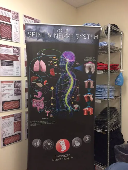 Evolve Chiropractic of Barrington Picture 6
