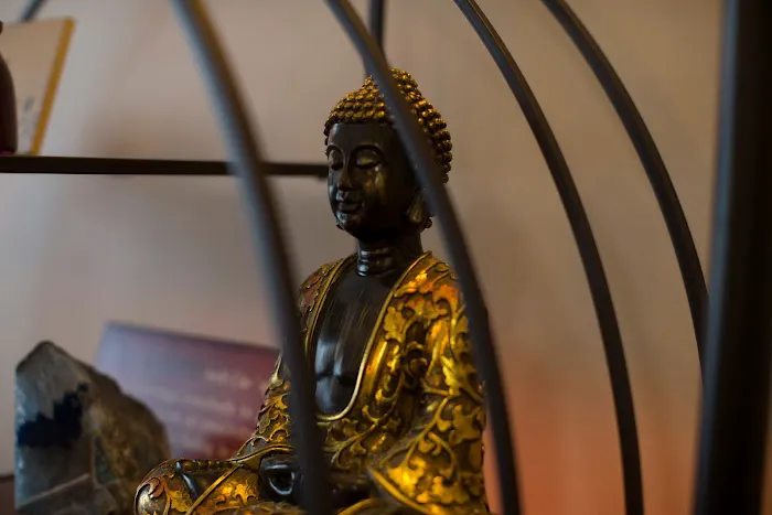 Dr. Leo Gerdov, DC Picture 5