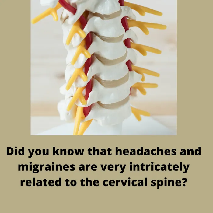 Serene Healing Chiropractic - Chiropractor in Lake Zurich IL Picture 9