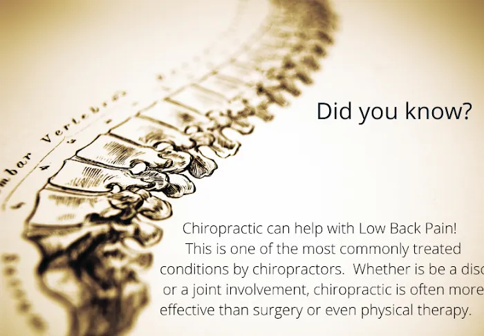 Serene Healing Chiropractic - Chiropractor in Lake Zurich IL Picture 7