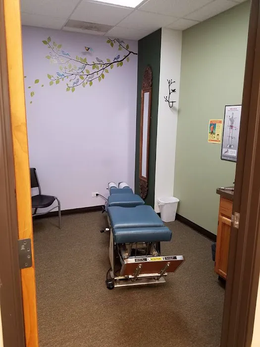 Hands That Heal Chiropractic, LLC Picture 7