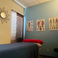 Hands That Heal Chiropractic, LLC ico