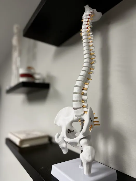 Auracle Chiropractic Picture 1