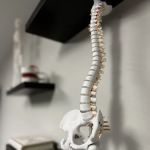 Auracle Chiropractic