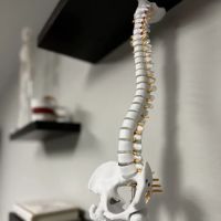 Auracle Chiropractic ico