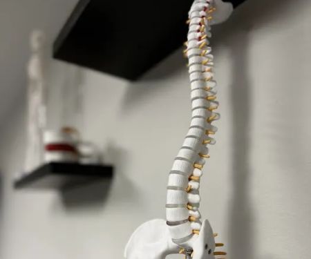 Auracle Chiropractic