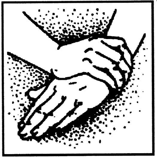 Lake Cook Chiropractic Health Care Picture 4