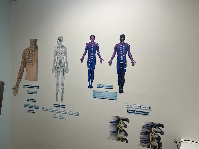 Jeranek Family Chiropractic Picture 5
