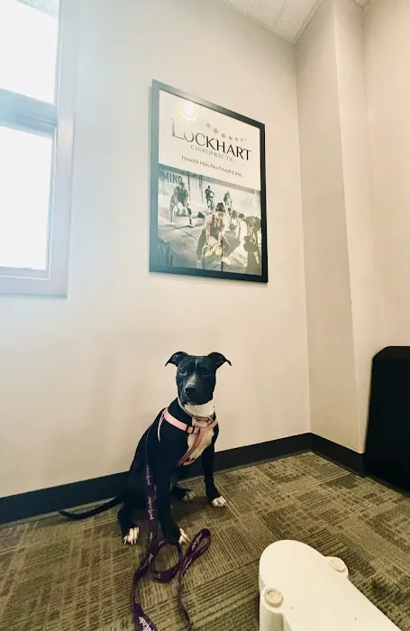 Lockhart Chiropractic Picture 1