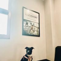 Lockhart Chiropractic ico