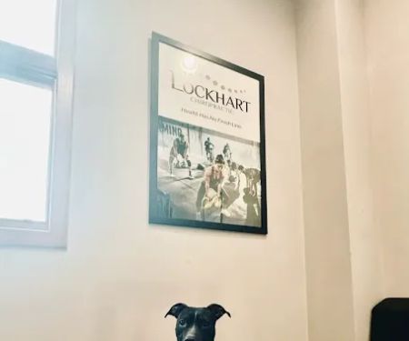 Lockhart Chiropractic