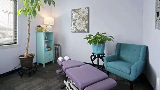 Allexi Chiropractic, Acupuncture Waterford WI Picture 1
