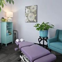 Allexi Chiropractic, Acupuncture Waterford WI ico