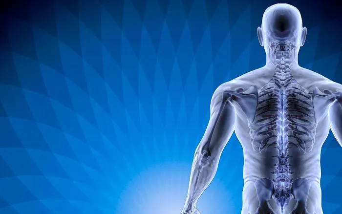 Pediatric, Prenatal and Family Chiropractic of Wisconsin Picture 3