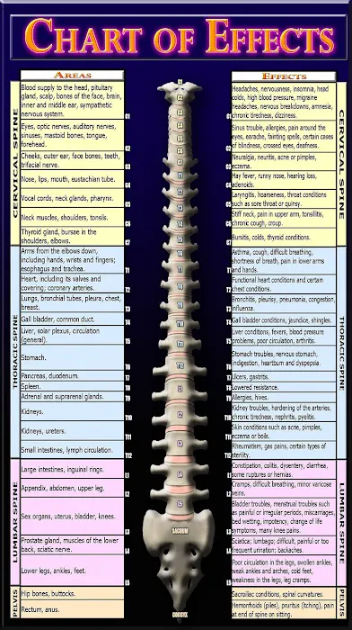 Alexander Chiropractic Neurology Center LLC. Picture 4