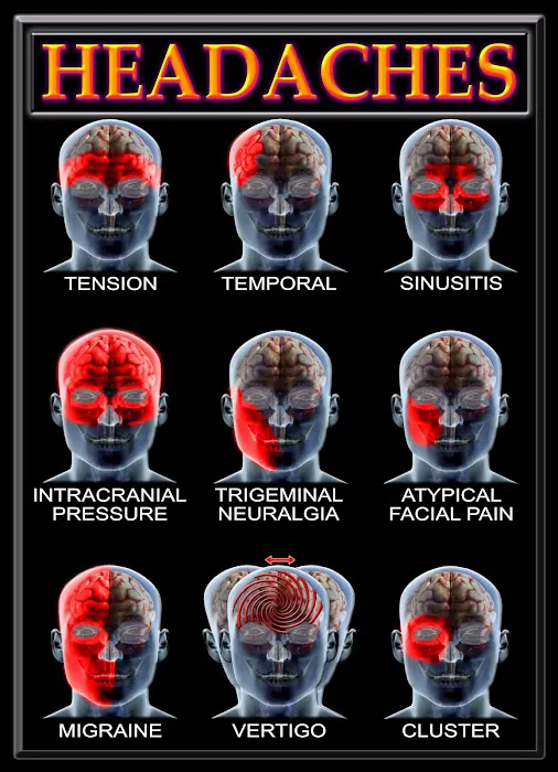 Alexander Chiropractic Neurology Center LLC. Picture 7