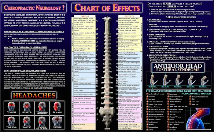 Alexander Chiropractic Neurology Center LLC. Picture 8
