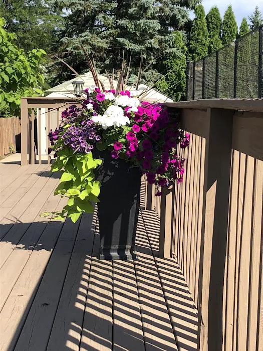 Shawhan Chiropractic Picture 10