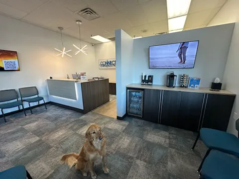 Connect Chiropractic - Delafield Picture 1